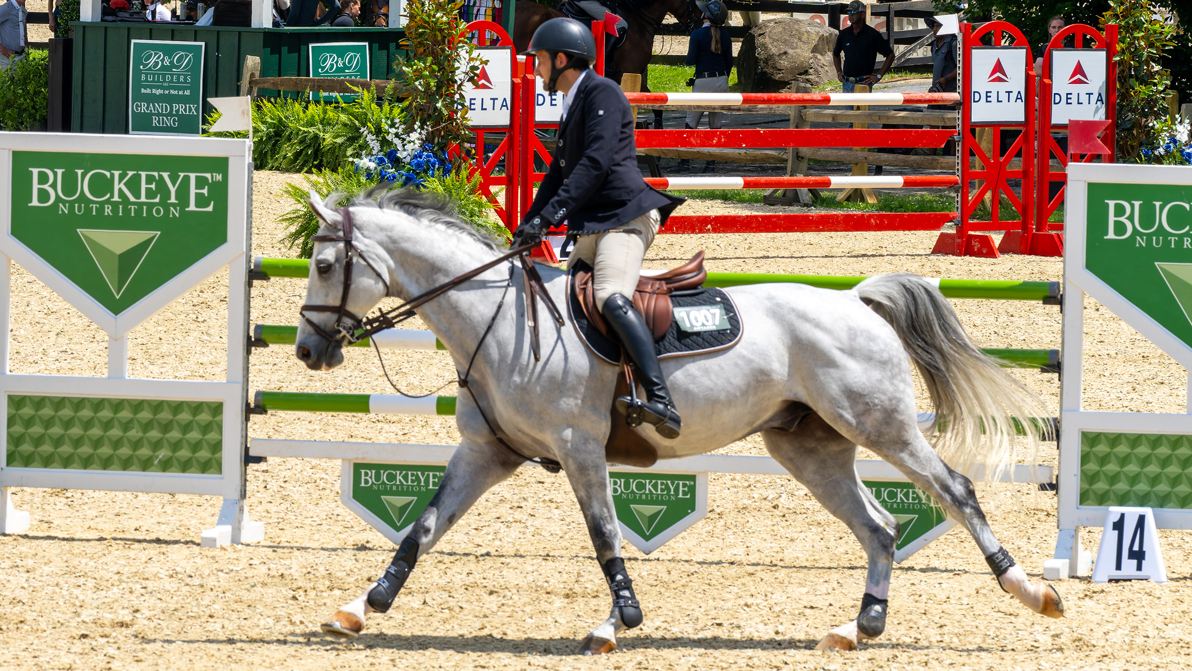 Horse Shows